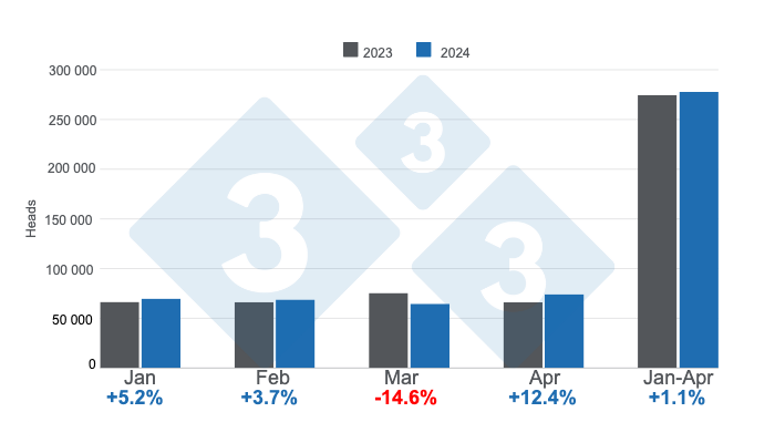 Graph 1. Monthly pig slaughter&nbsp;in the first four months of 2024 - annual variations. Prepared by 333 Latin America with data from CAPORC and CNP. &nbsp;
